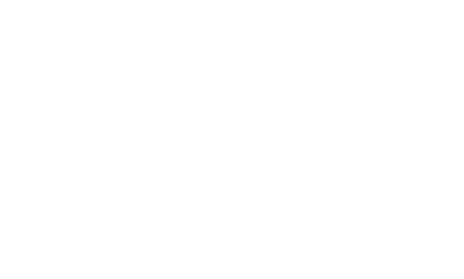 Rochaus Logo